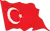 Türkçe